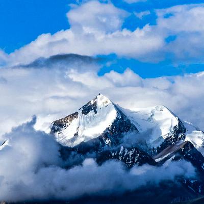 The Many Powerful Benefits of Compassion