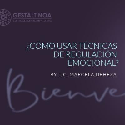 Técnica de regulación emocional
