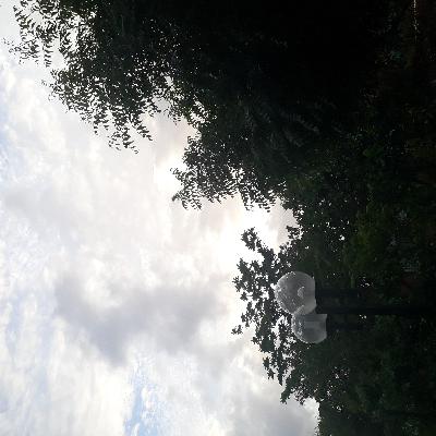 Enquanto Espero - Reginaldo Nascimento