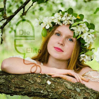 EP 43 | TWRA Insight: Conservation, Wildlife Management, and New Hunting Trends EP 43 | TWRA Insight: Conservation, Wildlife Management, and New Hunting Trends