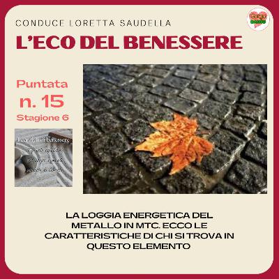 La loggia energetica del Metallo in MTC - #lecodelbenessere - P15- S6