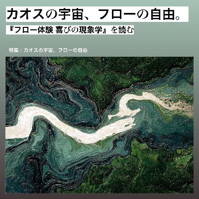 カオスの宇宙、フローの自由。 ~『フロー体験 喜びの現象学』を読む~【カオスの宇宙、フローの自由 vol.1】