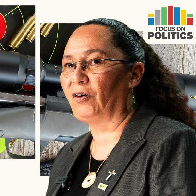 Coalition tempers ACT’s influence on gun laws