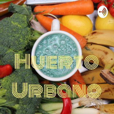 La importancia de los huertos urbanos