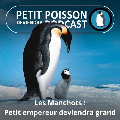 S05E20 Les Manchots : Le film phénomène "La Marche de l'Empereur " (Mathilde Chevallay)