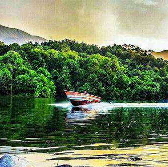 دور همی