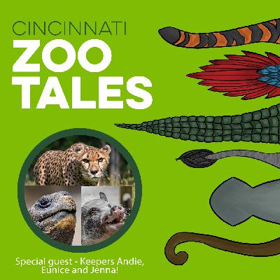 Physical Therapy for Every Pace Physical Therapy for Every Pace