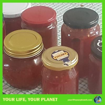 Preserves (Songs of the Griots) Preserves (Songs of the Griots)