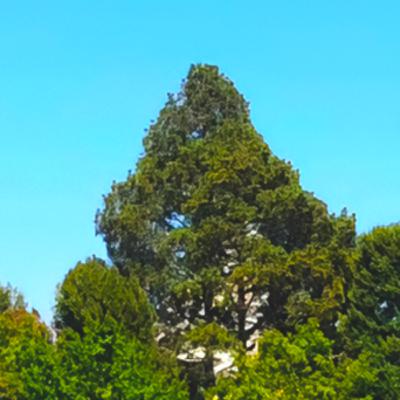 S1.EP19.C8 - Sight-lines in the Parks