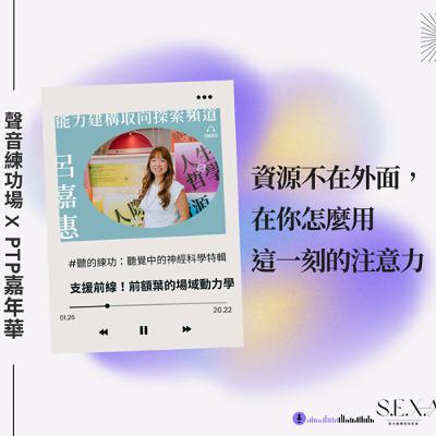 S3 EP29🎙️#特輯：聽覺中的神經科學｜資源使用能力的聆聽指引——支援前線× 前額葉場域動力學