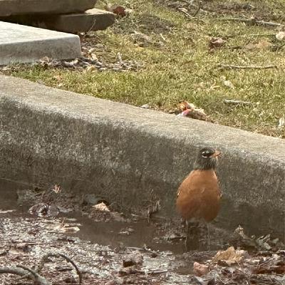 First Day of Spring!