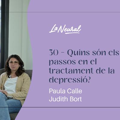 30 - Quins són els passos en el tractament de la depressió