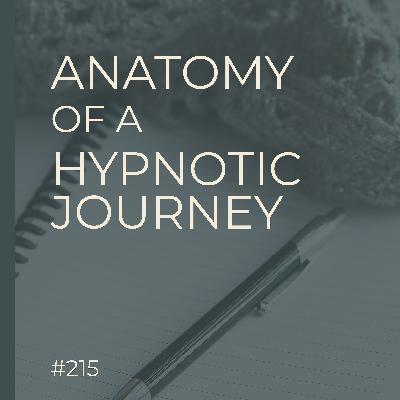 Anatomy of a Hypnotic Journey | Another Lifetime, Higher Self & Suggestion | Seer Sessions  #215