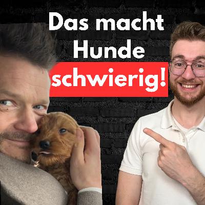 #8 Was Hunde wirklich brauchen & warum Training beim Menschen beginnt! Mit Coach Dennis Hundacker