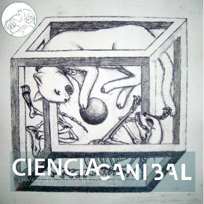 1-6 Nuestro vecino el Gran Vacío y la Mecánica Cuántica