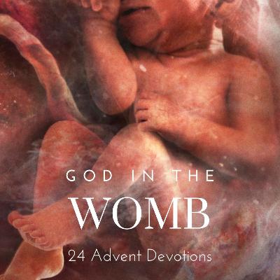 God in the Womb: Day 21 - God on the Run