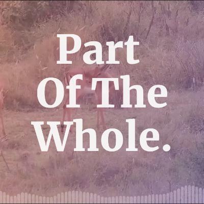 Why Life Isn’t a Battle to Be Won Why Life Isn’t a Battle to Be Won