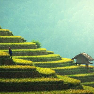 I Know This Place - Bali with Bill Bensley