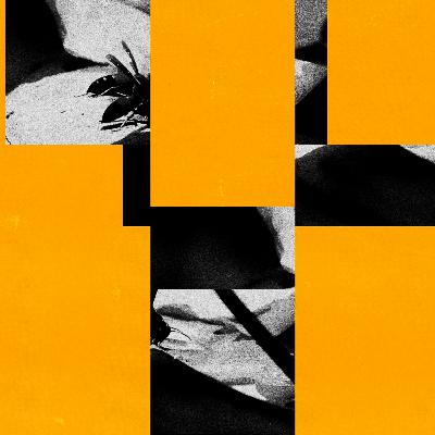 Premiere: NO! - S/H Is Lying (HAYES Collective - HYSEP33)