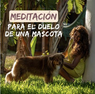 Meditación para el duelo de una mascota - Medita con Paz