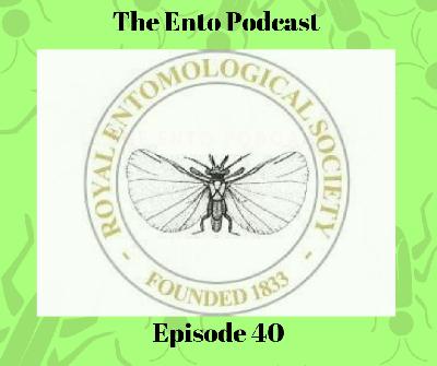 Episode 40 - The Ento Podcast IAFF Conference
