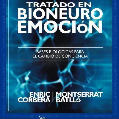 Tipos de conflictos desde la Bioneuroemoción