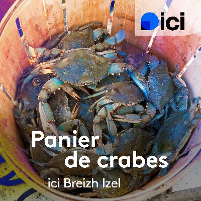 Le trail, la course à pied dans la nature