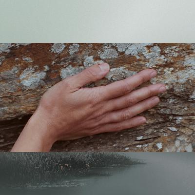 #No.38 The Bog Is Not Empty A Conversation with Artist Emily McFarland
