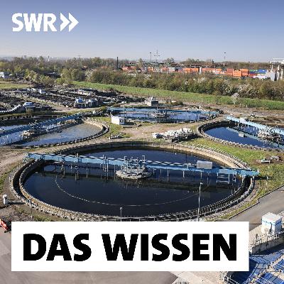 Kläranlagen und Kanalnetz – Wie unser Abwassersystem erneuert wird (2/2)
