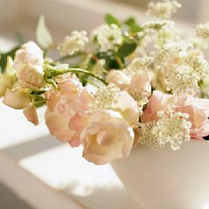 三毛:岁月 三毛:岁月