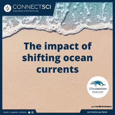 The impact of shifting ocean currents