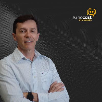 Impacto das Condenações de Carcaças - Marcos Morés | Ep. 318