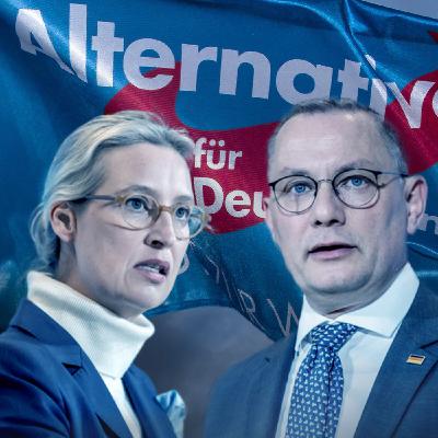 Gesichert rechtsextrem: Soll die AfD jetzt verboten werden?