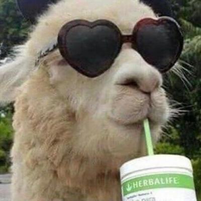 Dear Diary: Who Tf Am I Fr? Dear Diary: Who Tf Am I Fr?