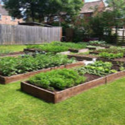 La culture en potager en carré