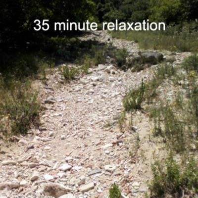 Walking on a Mountain Path