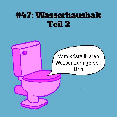 #47: Wasserhaushalt_2