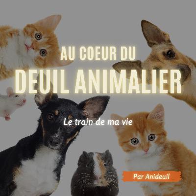 Épisode #15: Le train de ma vie.