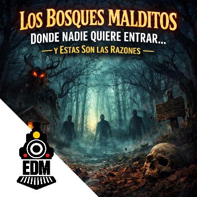 “Los Bosques Malditos Donde Nadie Quiere Entrar… y Estas Son las Razones” T12X48 “Los Bosques Malditos Donde Nadie Quiere Entrar… y Estas Son las Razones” T12X48