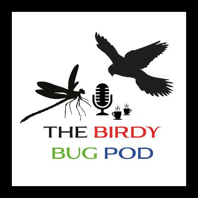 Help the humble bumble bee