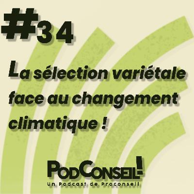 #34 - La sélection variétale face au changement climatique ! #34 - La sélection variétale face au changement climatique !