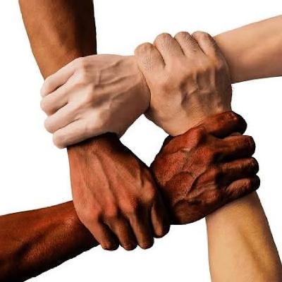 Entre Músiques 256 (T8). Vincles... (valencià)