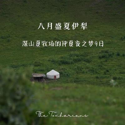 八月的伊犁河谷，为啥需要专门聊一聊？