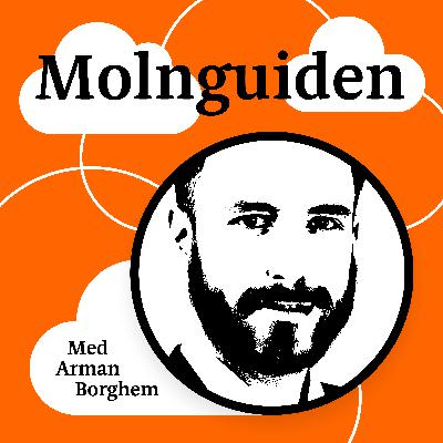 Tre vanliga typer av sekretessbestämmelser i OSL - Molnguiden #13