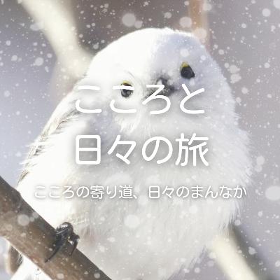 北海道銘菓好きなものを紹介