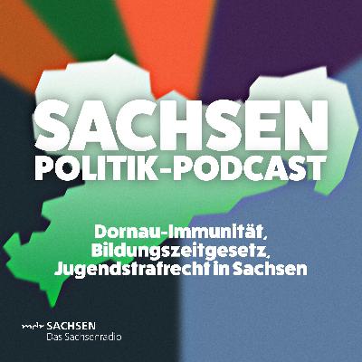 Dornau-Immunität, Bildungszeitgesetz, Jugendstrafrecht in Sachsen