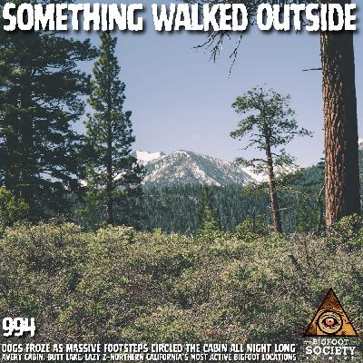 Something Stalked a Remote Avery, California Cabin While Two Dogs Froze in Terror Something Stalked a Remote Avery, California Cabin While Two Dogs Froze in Terror