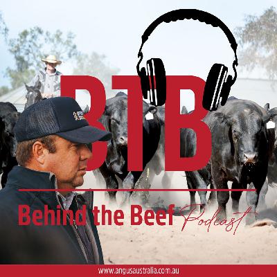 31. Market Movements with Jono Spence