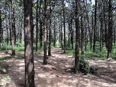 2x02 Hiking through the Wichita Mountains and the Parallel Forest 2x02 Hiking through the Wichita Mountains and the Parallel Forest