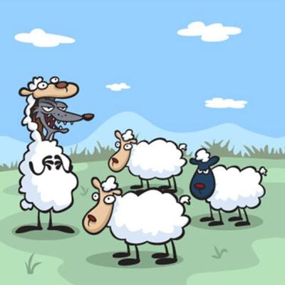 Fox 🦊in the Sheep's🐑 Coat